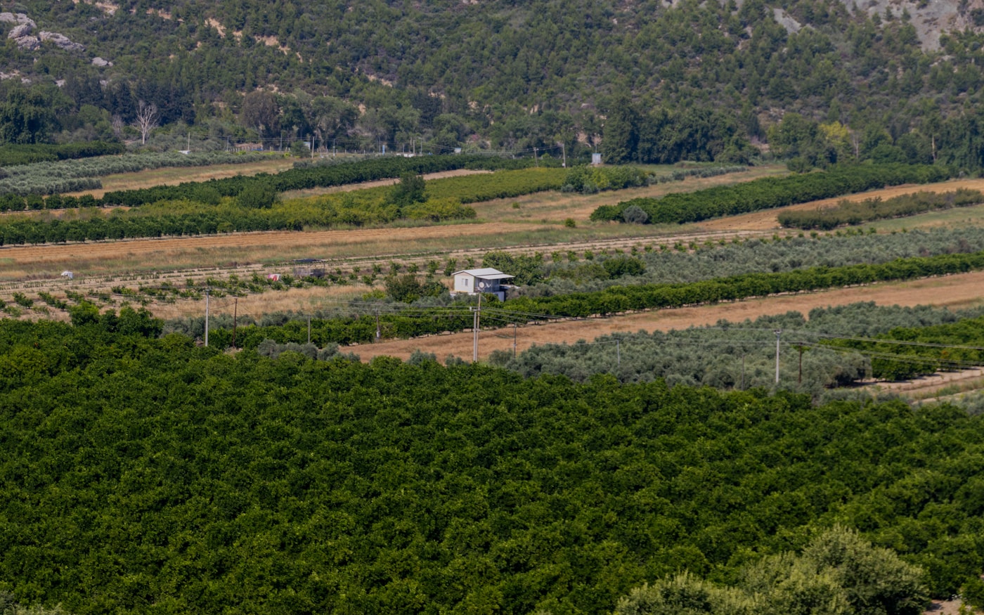 Eskişehir çevresinde düzenli ekili sıralara sahip geniş tarım arazisi